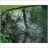 duetart - Yunong Wang